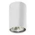 Zdjęcie produktu Lampa sufitowa halogenowa E402-Demo - biały.