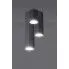Fotografia Halogenowa lampa sufitowa E549-Ebra - czarny z kategorii Lampy sufitowe