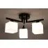 Fotografia Stylowa lampa sufitowa E632-Tevors z kategorii Lampy sufitowe