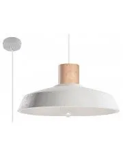 Industrialna lampa wisząca E833-Ortim w sklepie aosom.live