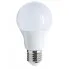 Żarówka LED E27