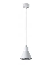 Biała punktowa lampa wisząca loft - S170-Hertes w sklepie aosom.live