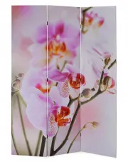Parawan z motywem kwiatowym - Folken 3X 120 x 170 cm w sklepie aosom.live