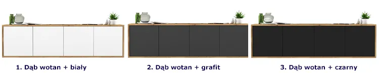 Wybór kolorów wiszącej szafki na TV Avila 12X