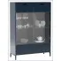 Witryna do salonu indigo Indra 11X