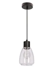 Nowoczesna lampa wisząca w stylu loftowym bezbarwna - D202-Semi w sklepie aosom.live