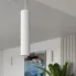 salonoy splot salonowy D294