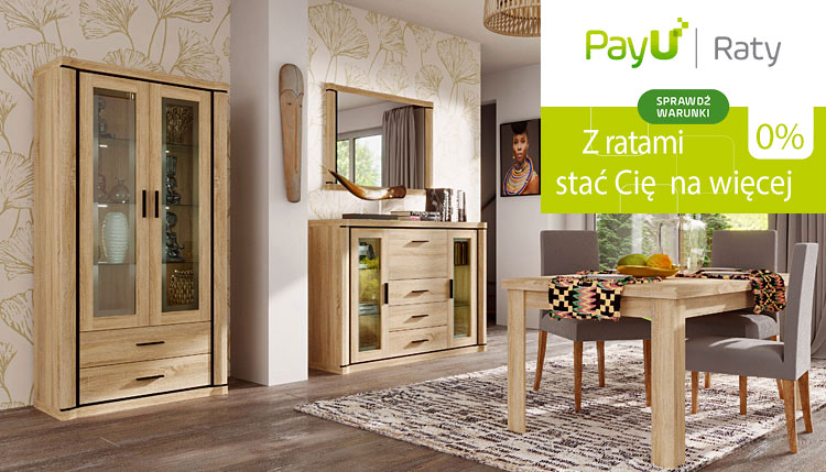 oferta płatności ratalnych aosom.live